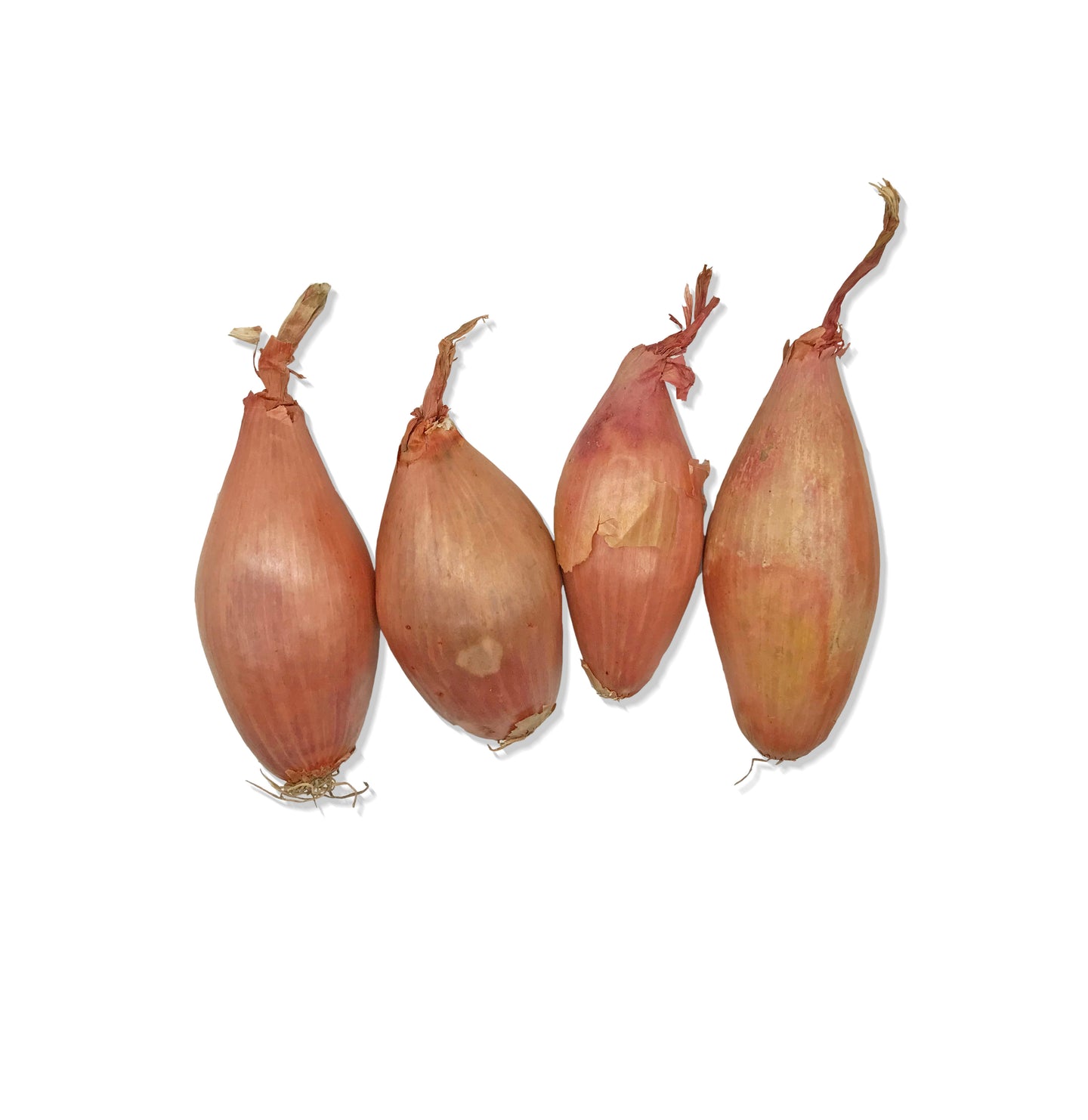 Shallots