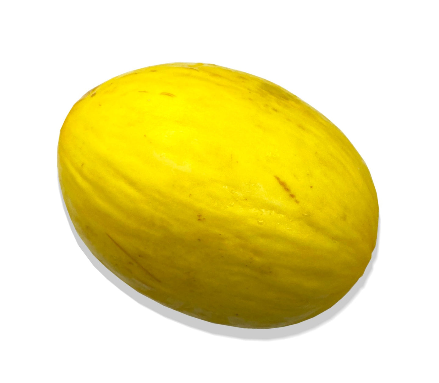 Honeydew Melon