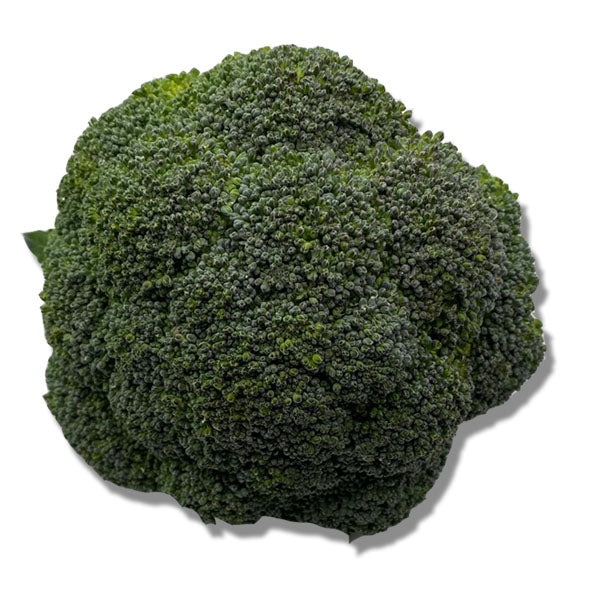 Broccoli